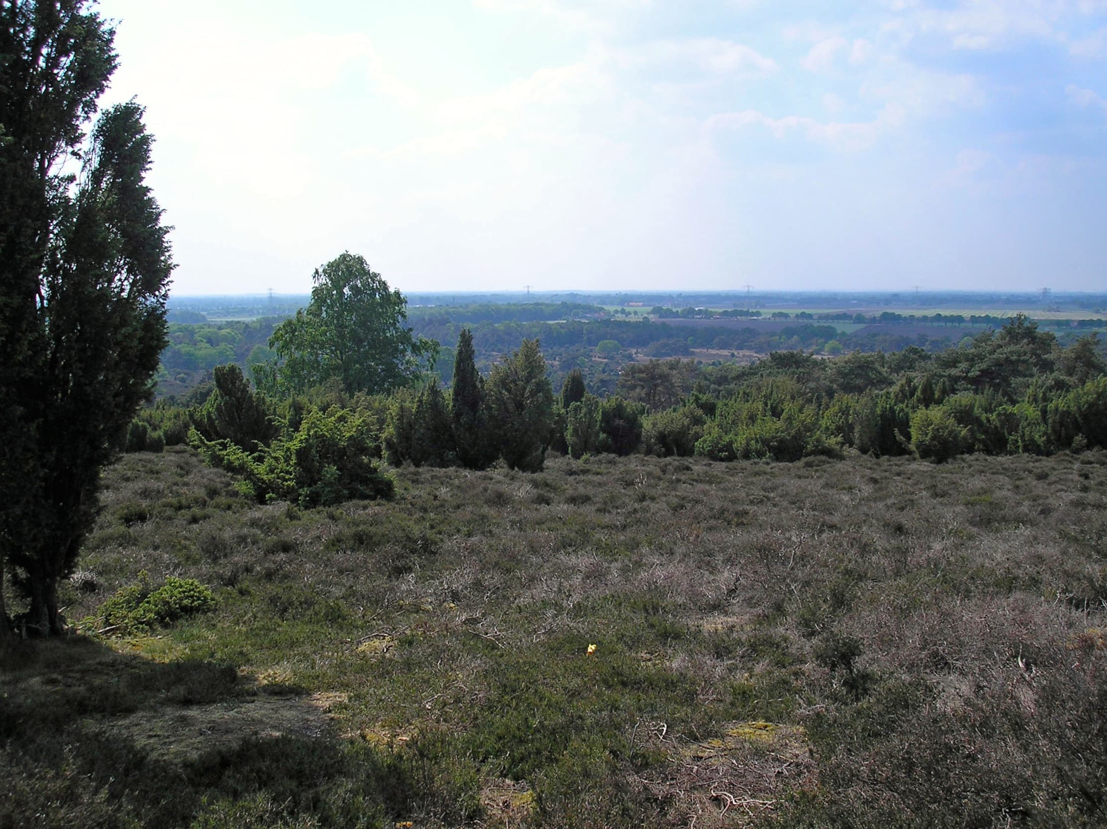 Uitzicht vanaf de Lemelerberg over de heide.