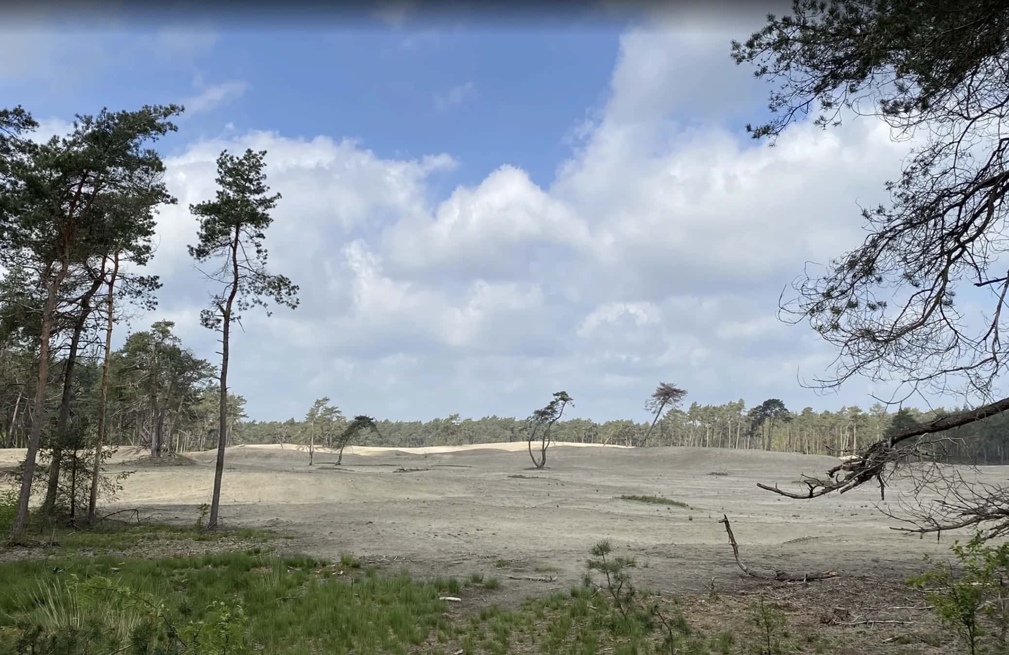 Een idyllisch pad langs het water in de buurt van Witharen.
