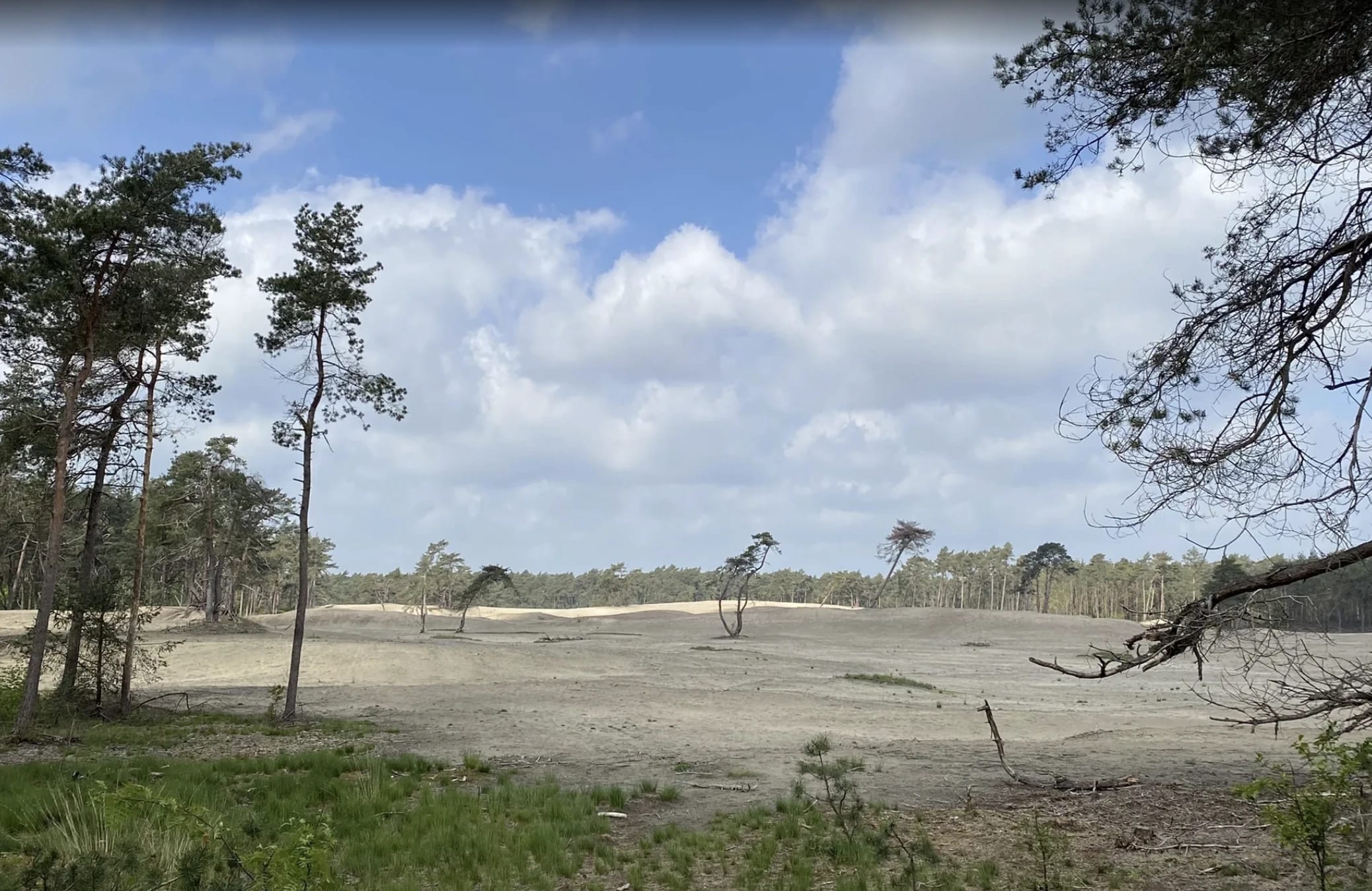 De uitgestrekte zandverstuiving van de Ommense Sahara.